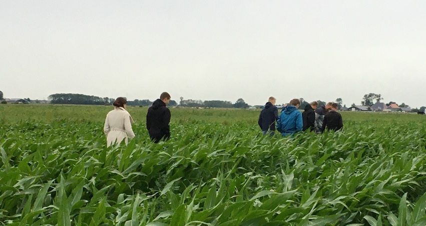 Foto van een kleine groep mensen in een maisveld